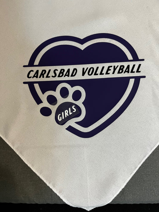 Carlsbad Girls Volleyball