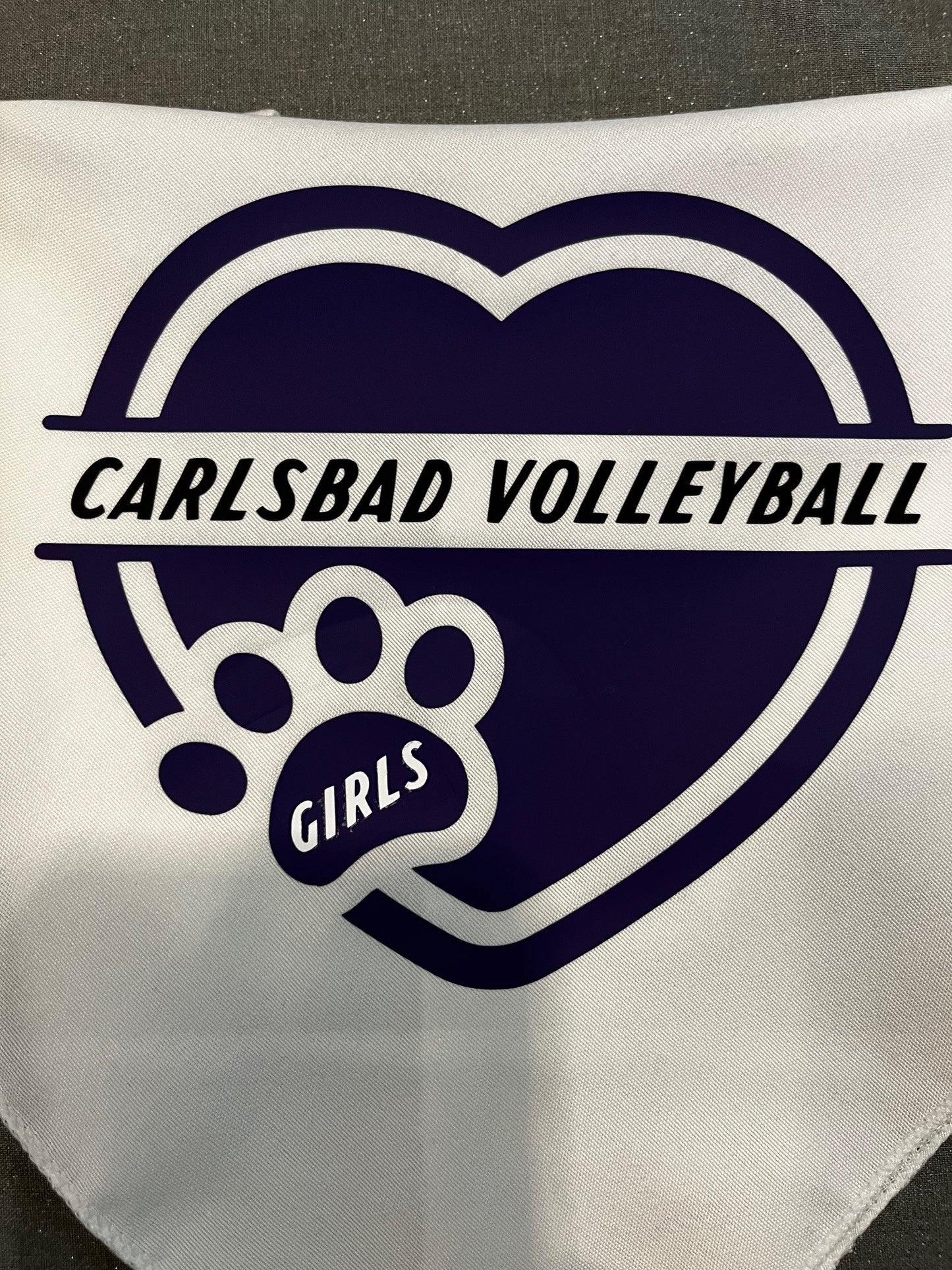 Carlsbad Girls Volleyball